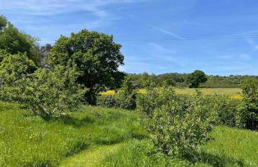 Characterful, Cosy Dartmoor Cottage - Foto 20
