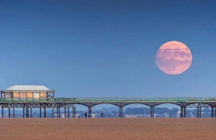 Seaside Serenity - Photo 39