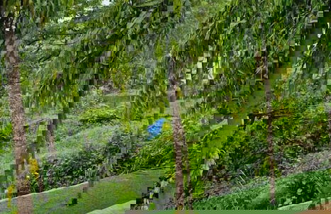 Solace By Joy Suites - Foto 10