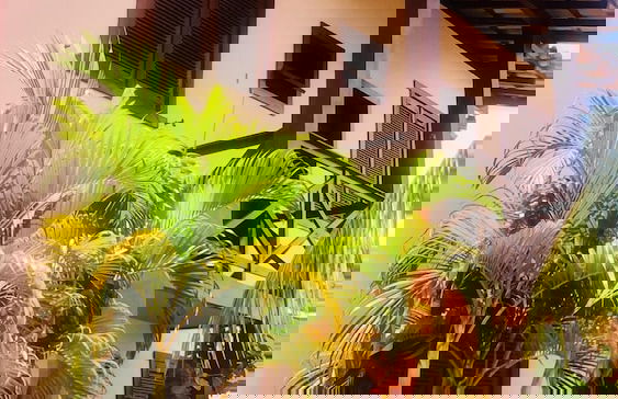 Branca Tropical Brasil Residencial - Foto 37