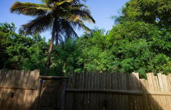 Cabana Mulungu - Viagem Inspirada - Foto 26