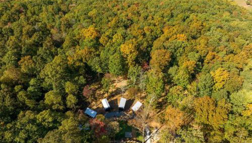 The Lumber Jack Pine Treehouse at Treetop Escapes - Foto 4