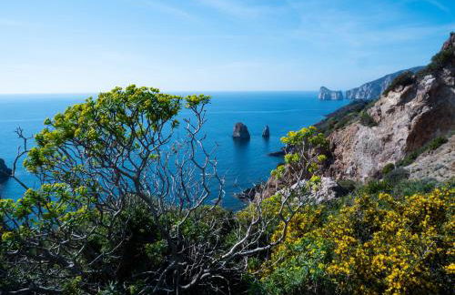 Il Veliero Tanca Piras - Foto 34