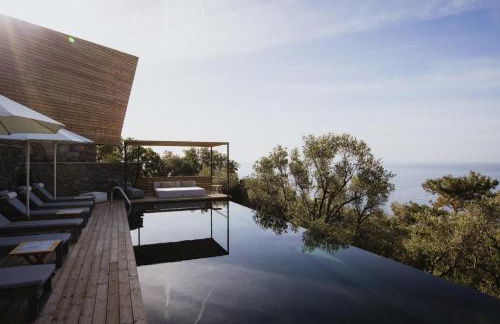 Five Olive Dream Trip - Photo 14