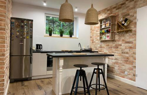 Dom Dwa Jeziora - Augustów - Photo 61