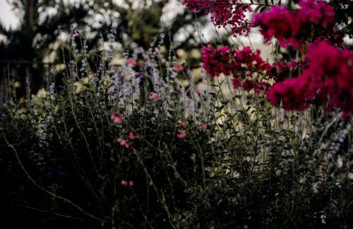 Hillside In - Foto 38