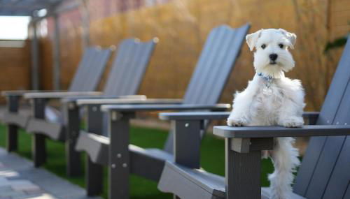 Island Charmer Davis Shores, Pets, Firepit - Foto 5