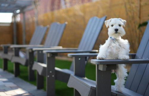 Island Charmer Davis Shores, Pets, Firepit - Foto 5