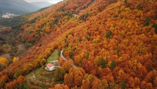 Solar da Castanha - Forest House - Foto 2, Other