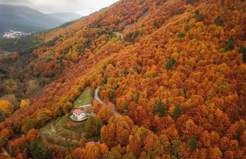 Solar da Castanha - Forest House - Foto 2