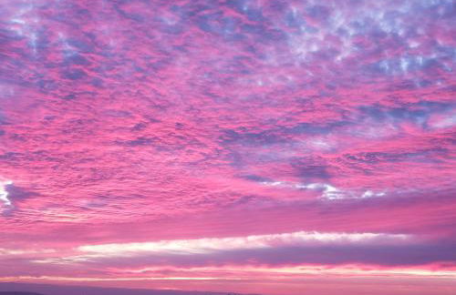 Yosemite Foothill Retreat - Private Guest Suite #3 - Foto 30