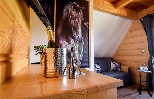 Domki Wiśta Wio - Foto 67