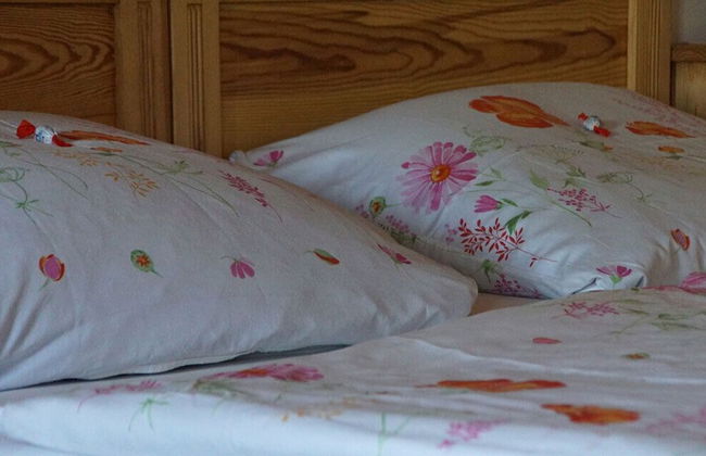 Ferienhof Berghof - Foto 14