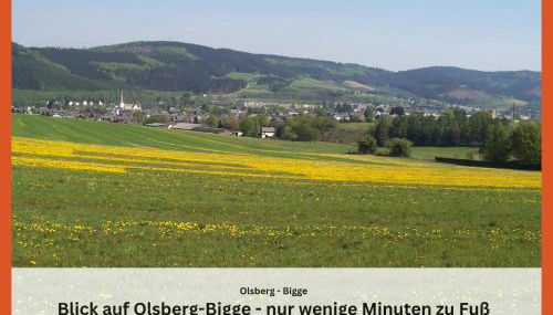 Ferienwohnungen Sauerland und Olsberg - Foto 2