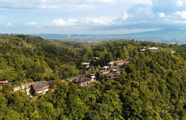 Private Day Trip to Salvador Benedicto - Photo 1