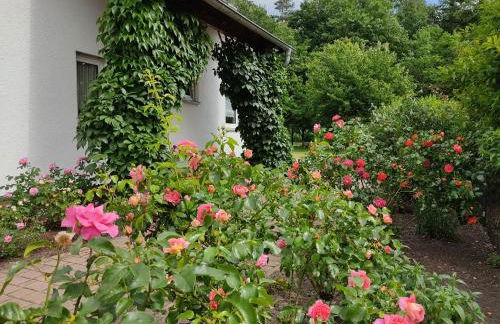 Großzügige Ferienwohnung am Waldesrand im Seenland - Foto 33