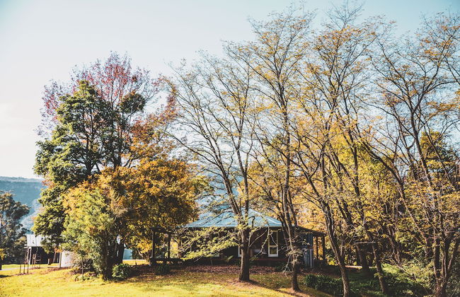 Barranca Kangaroo Valley - Foto 37