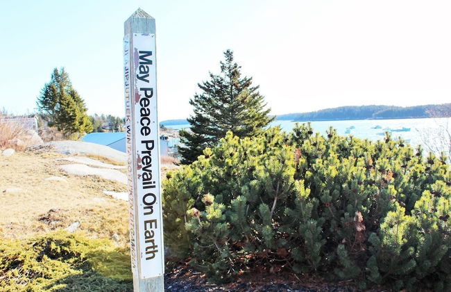 Gulls Ledge - Photo 34