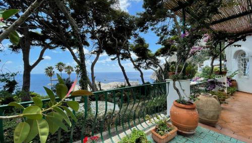 TERRAZZA Marina Piccola - Foto 5