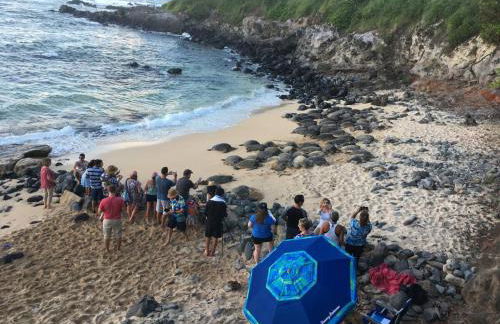 Lucy Fan Ohana - Photo 37