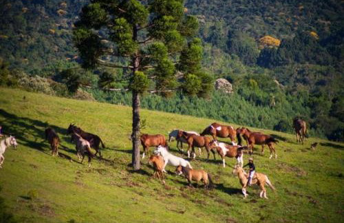 Capivari ecoresort residence - Foto 11