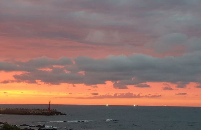 Jeju Ollero - Foto 50