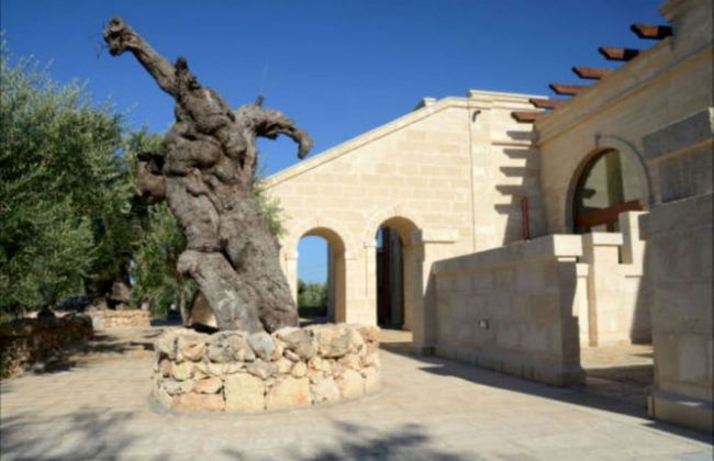 Agriturismo Masseria San Leonardo - Foto 39