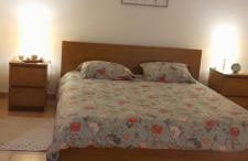 Monte do Rochinha - Foto 53