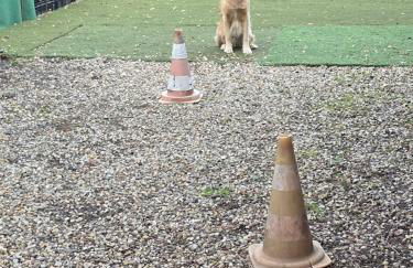 Ferienwohnung Fellnasen WG - Foto 38