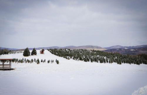 Experience the Rocks Estate like never before with a stay at the Gardeners Cottage! - Foto 29