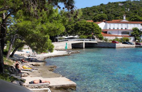 Apartments by the sea Pasadur, Lastovo - 8351 - Foto 4