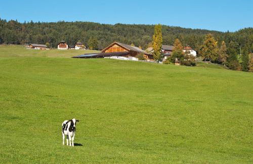 Unterpfaffstall-Hof - Foto 41