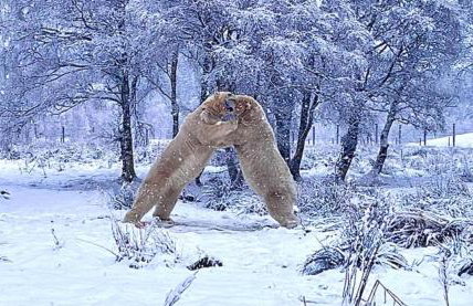 Tom's Lodge - Foto 34