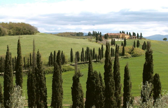 Apartment in Guasticce With Shared Pool - Foto 33