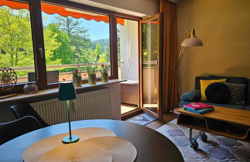 Ferienwohnung Hirschlein mit Schwarzwaldblick in Baiersbronn - Foto 6