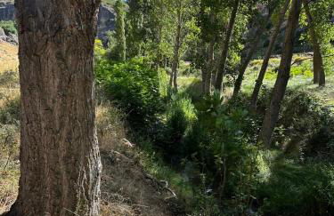 Casa Rural en Valera La Egipcia - Foto 37