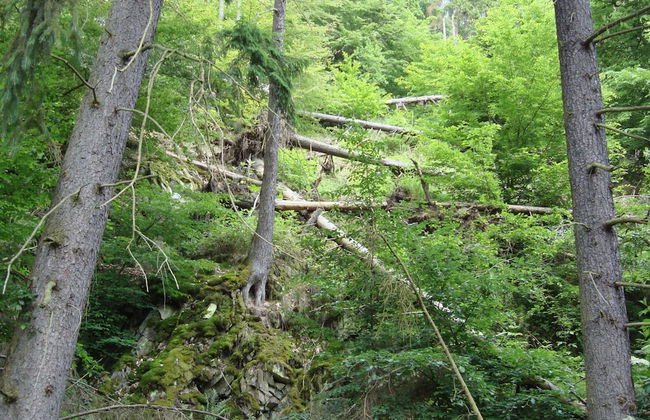 Cosy Apartment in Hallenberg Near Centre - Foto 42