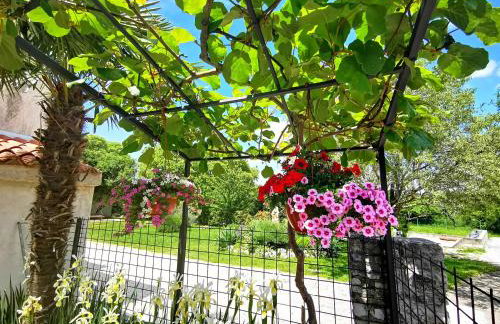 Apartment Mrgani 1814 - Foto 49