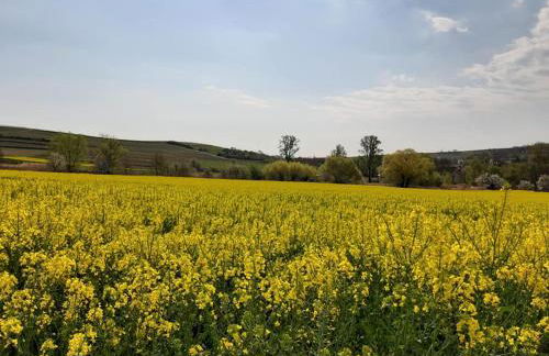 Ferienwohnung im schönen Zellertal - Foto 21
