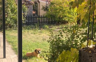 ΧΑΡΟΥΛΑ ΣΤΟΥΝΤΙΟ 2 - Foto 12