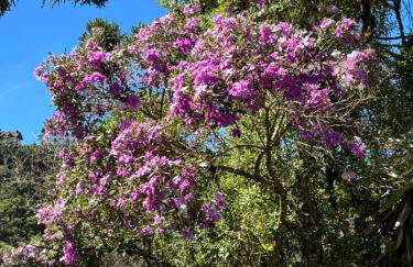 Charme e conforto na Montanha - Condomínio no Morro do Elefante, próximo ao centro - Foto 32