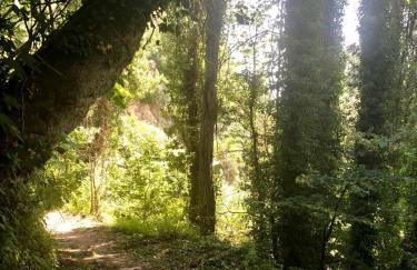 La Casa de Los Moyas - Foto 129