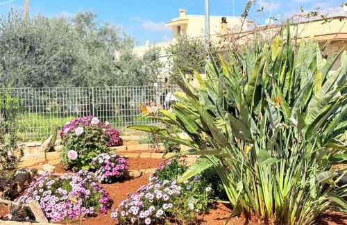 Apulia Comfort apartment - Foto 14