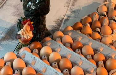 Luxury Farm Stay-Bonds Corner Bungalow-Wolf Pine Hollow - Foto 21