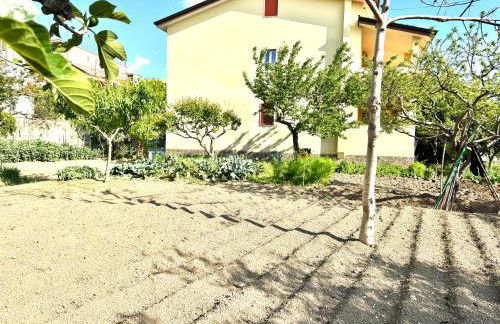 Home & Garden - Foto 9