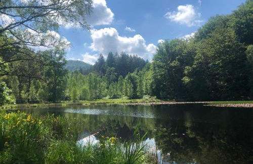 Ferienwohnung Landblick - Foto 22