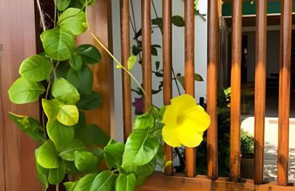 Mar e rio Orla Itacaré - Casa Flor - Foto 24