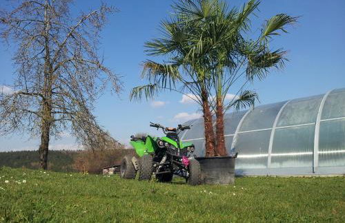 Ferienhaus Regina - Foto 13