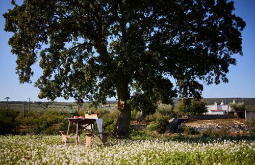 Tenuta Giotta - Foto 14