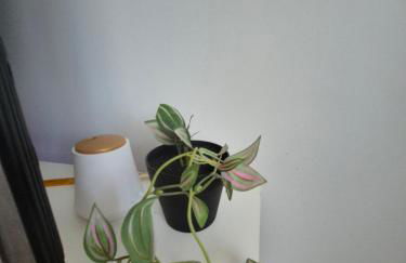 Ashers place - Foto 48